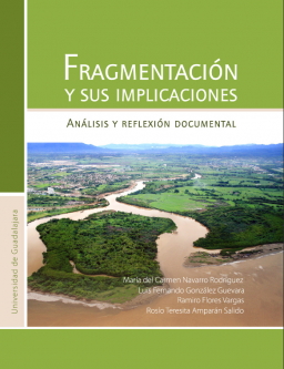 Fragmentación y sus implicaciones Análisis y reflexión documental