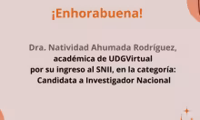 Ingreso al Sistema Nacional de Investigadores e Investigadoras SNII.